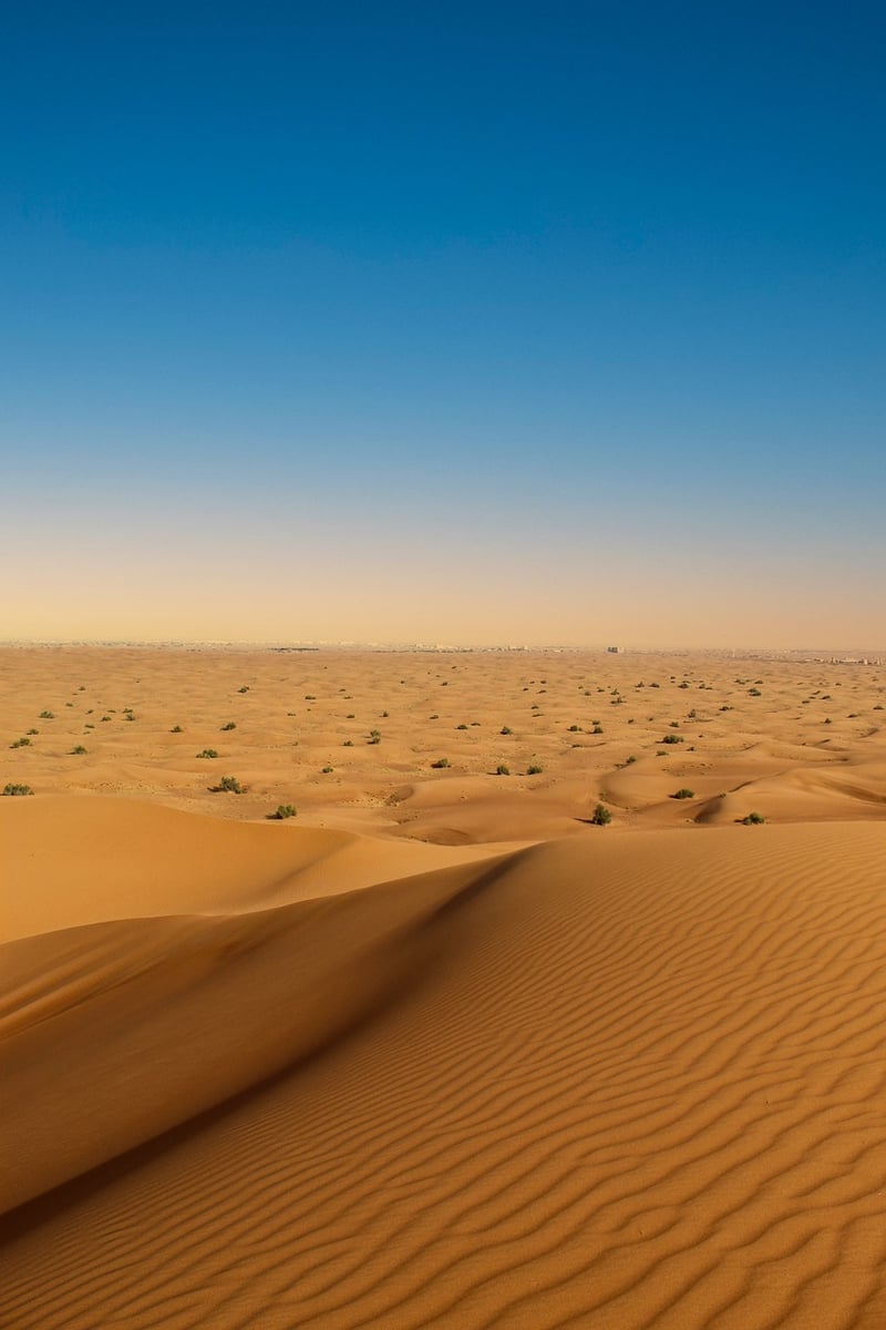 Arabian Desert Safari