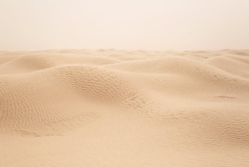 Kalahari Desert Safari