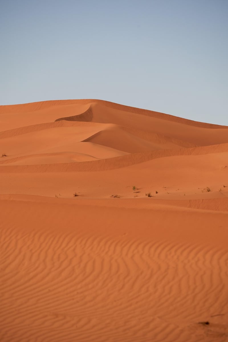 Sahara Desert Expedition
